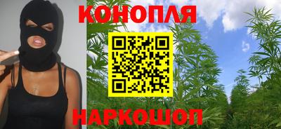 крисы Лесной