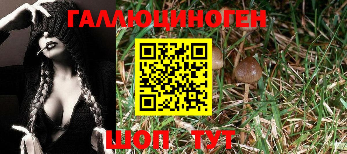 Галлюциногенные грибы прущие грибы  Галлюциногенные грибы мухоморы  Вход с VPN  Гуково 